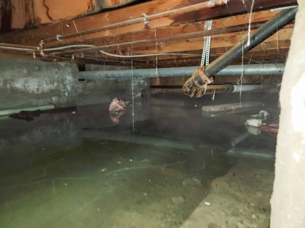 Sewage cleanup and water damage restoration in Collinsville, VA
