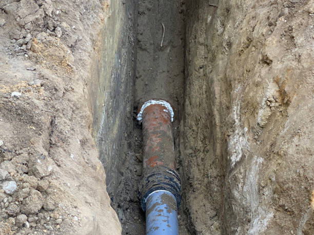 Best Basement water damage restoration  in Collinsville, VA
