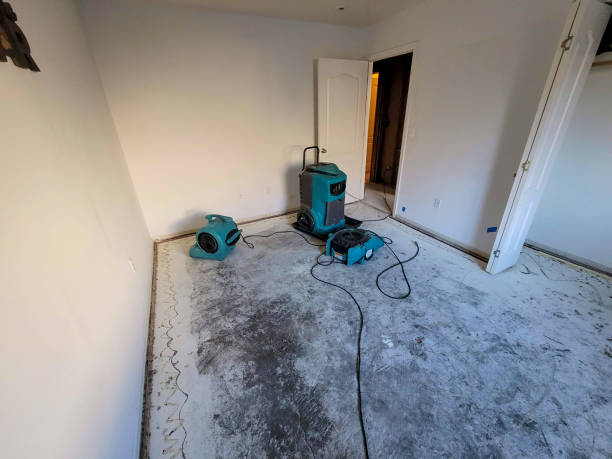 Local water damage restoration in Collinsville, VA