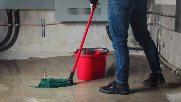 Best Professional water damage repair  in Collinsville, VA