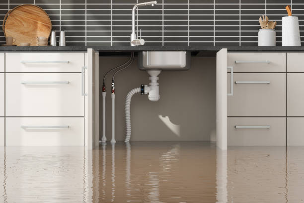 Best Flood restoration services  in Collinsville, VA