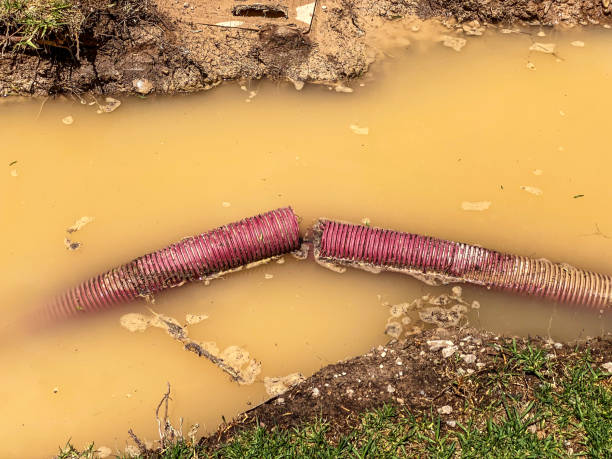 Sewage cleanup and water damage restoration in Collinsville, VA
