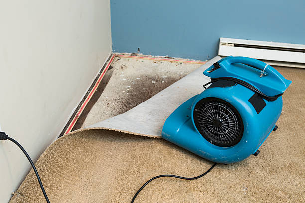 Best 24/7 water damage repair  in Collinsville, VA